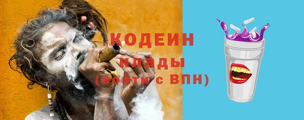 твердый Новодвинск