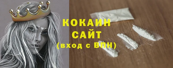 твердый Новодвинск