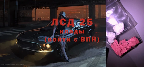твердый Новодвинск