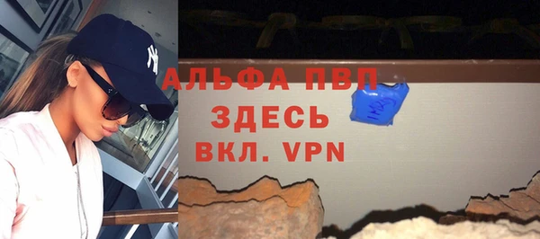 твердый Новодвинск