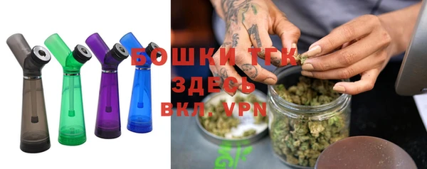 твердый Новодвинск