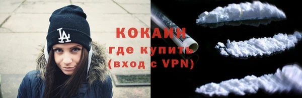 твердый Новодвинск