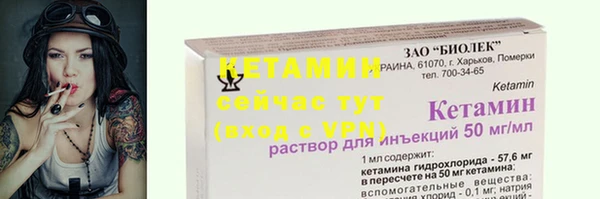 твердый Новодвинск