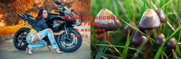 твердый Новодвинск